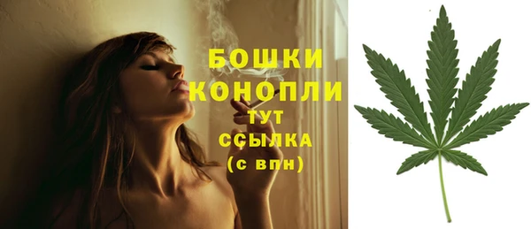 твердый Кодинск