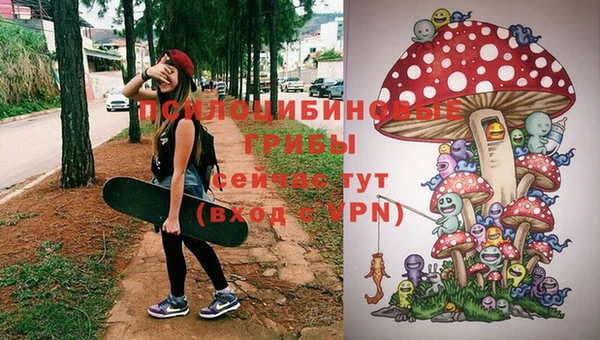 соль курить ск Козловка