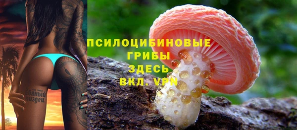 соль курить ск Козловка