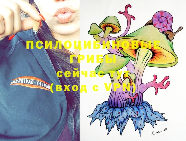 твердый Кодинск