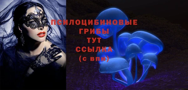 соль курить ск Козловка