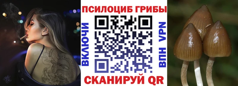 Псилоцибиновые грибы GOLDEN TEACHER  даркнет сайт  Городовиковск 