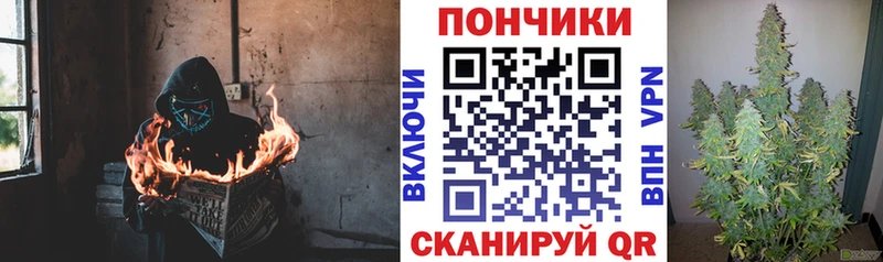 Бошки марихуана индика Городовиковск